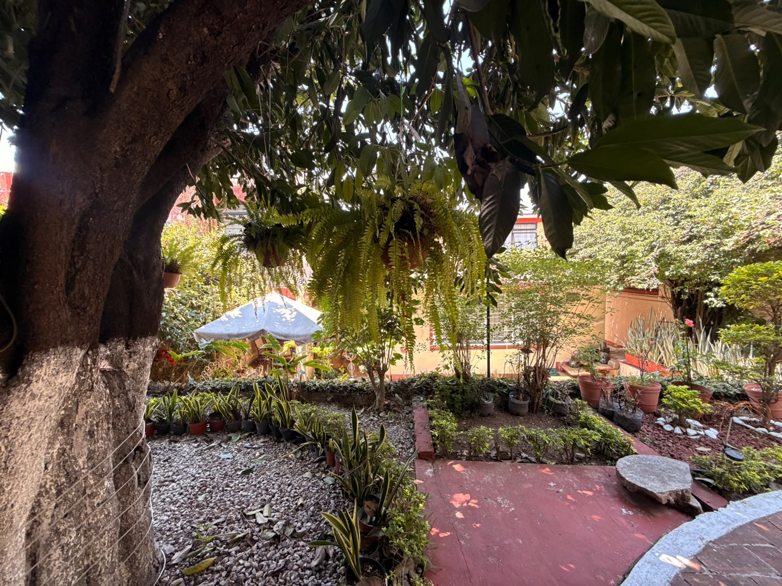 FURNISHED APARTMENT IN COLONIA REFORMA OAXACA